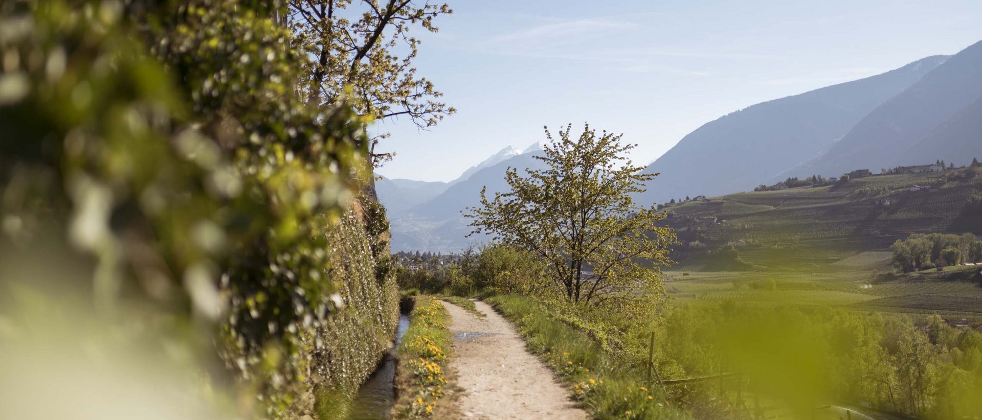 Dorf Tirol: Hotels mit Pool gesucht? SomVita gefunden!