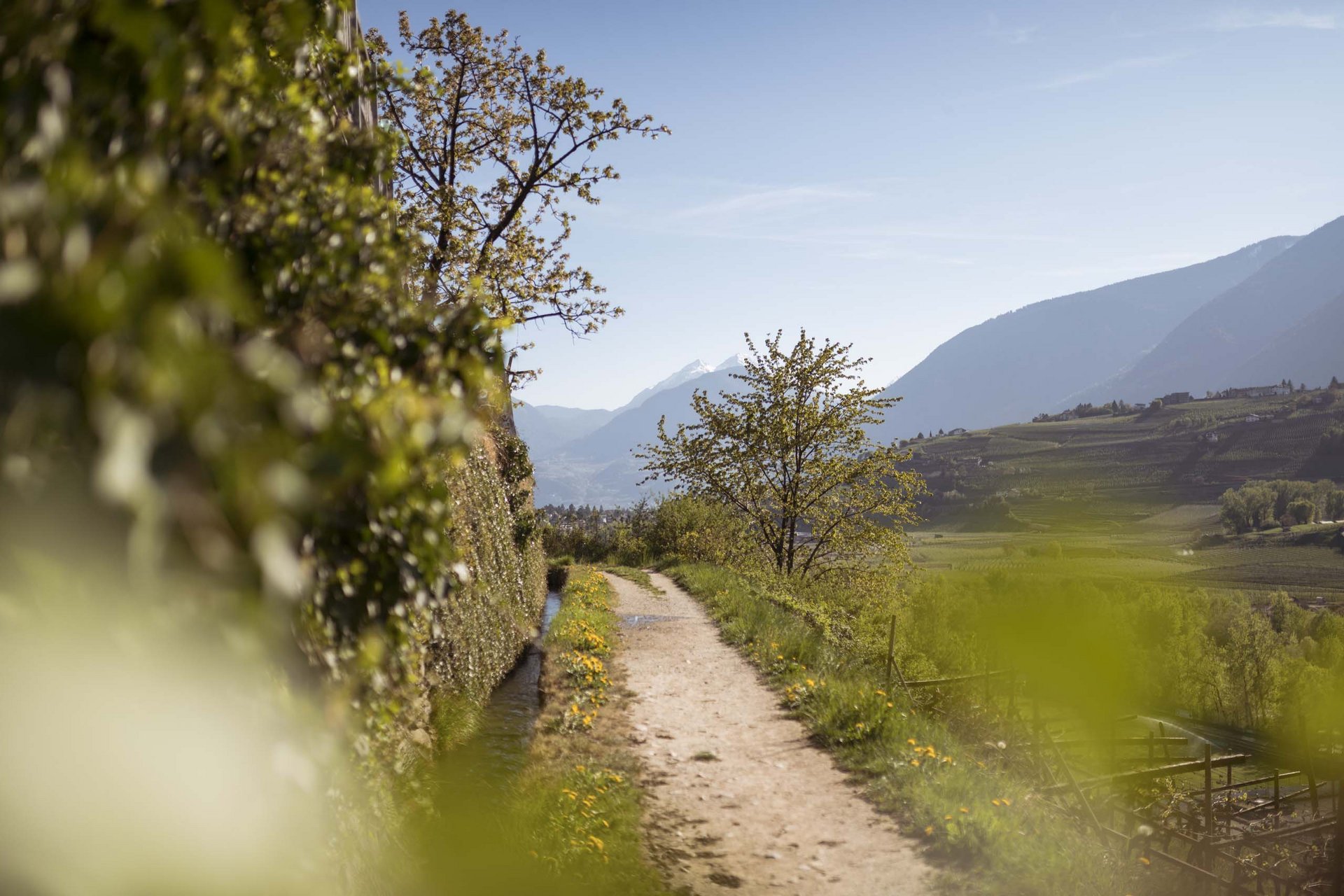 Vacanze a Tirolo: mix italiano-tedesco da sogno