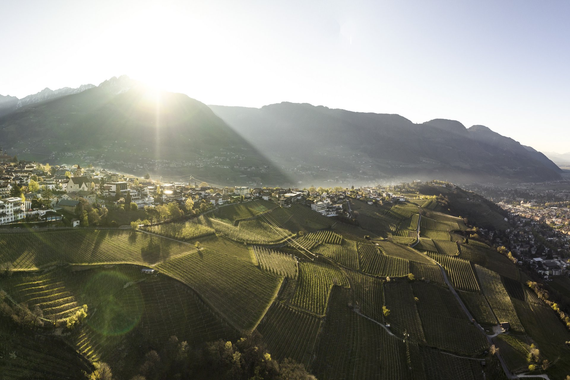Landschaft mit Sonnenaufgang über Weinbergen und Bergdorf