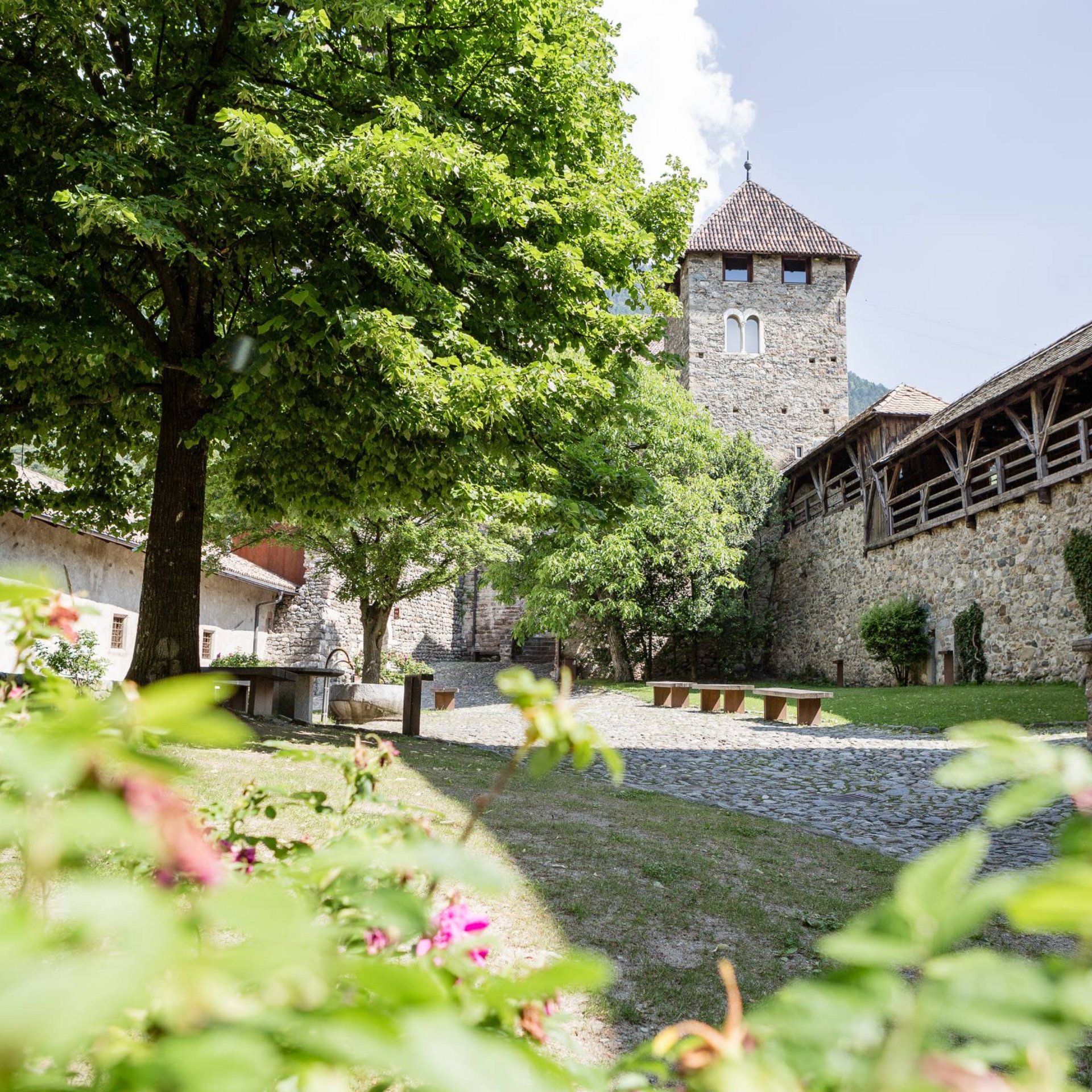 Schloss Tirol FAQ – alles Wichtige für Ihren Besuch