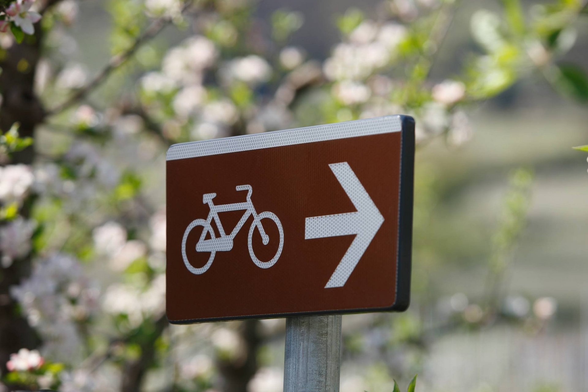 Braunes Schild mit Fahrrad und rechter Pfeil zeigt Radweg an