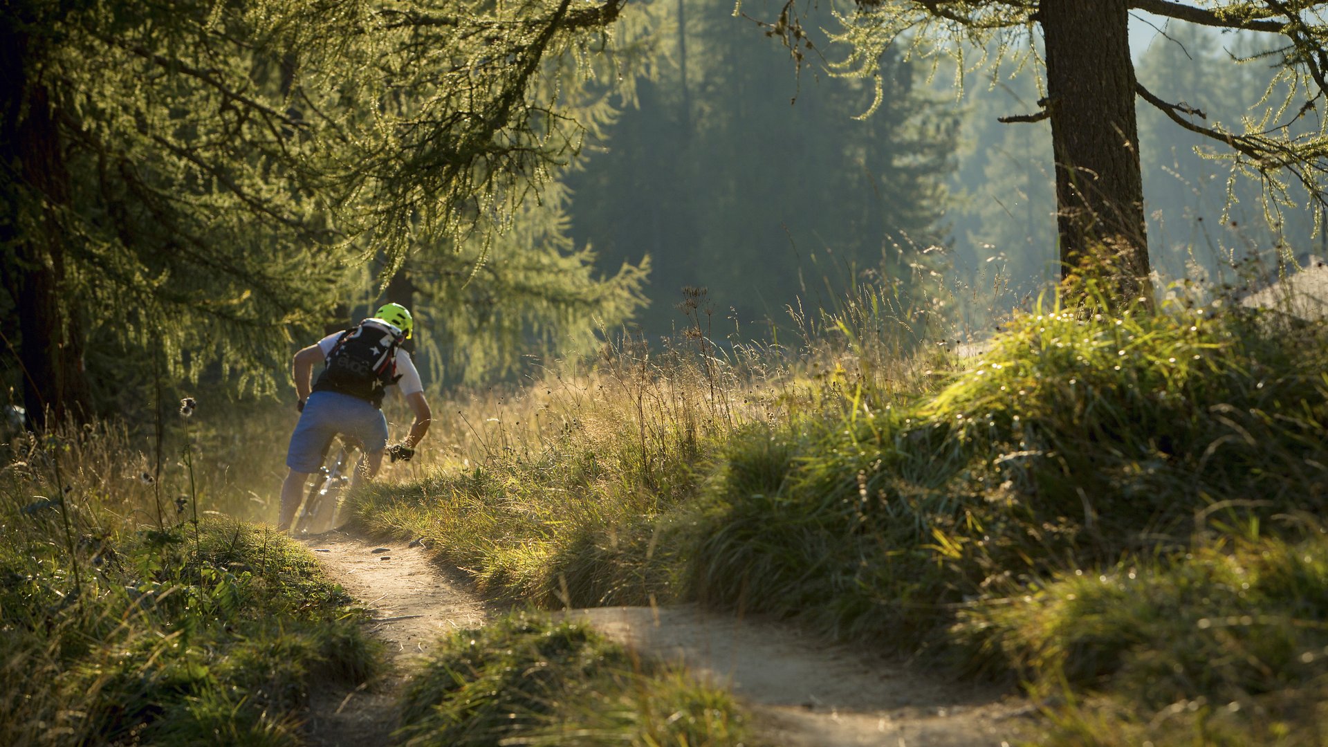 Mountainbiker fährt auf schmalem Waldweg bei Sonnenlicht