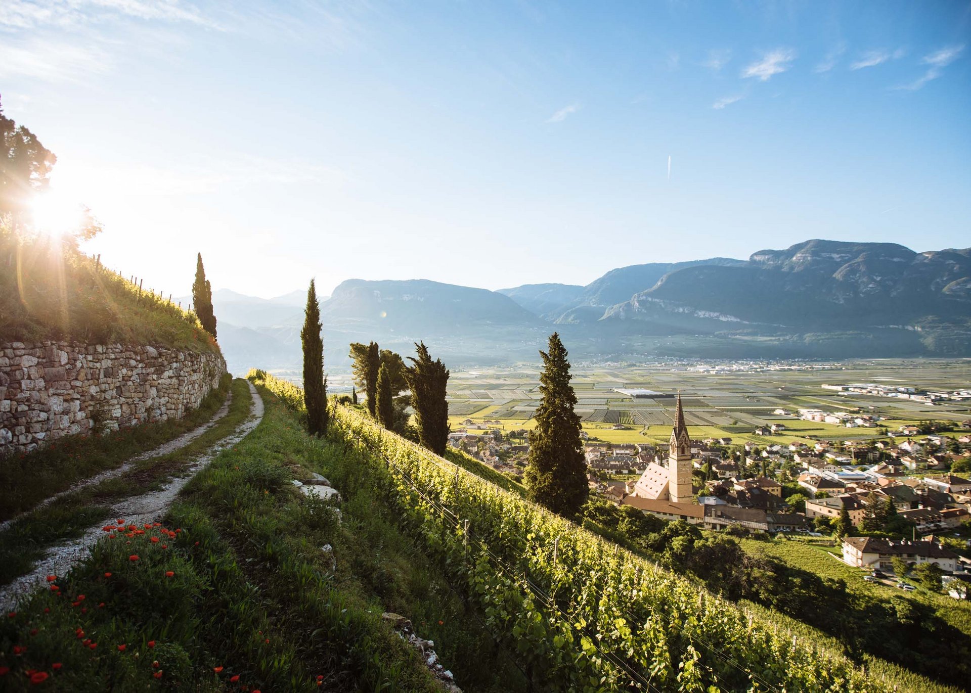 Wine hotel in South Tyrol with SomVino restaurant